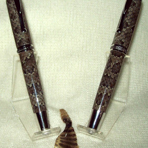 Pair of Rattlers on Statesman FP