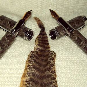 Pair of Rattlers on Statesman FP