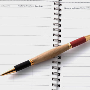 Teacher pen