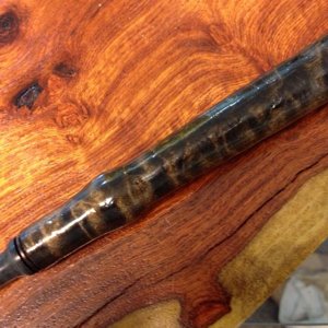 Flame maple Turkey trumpet