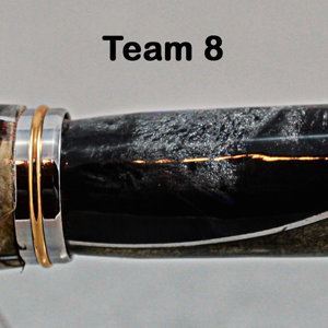 Team 8 - The Rusty Nibs