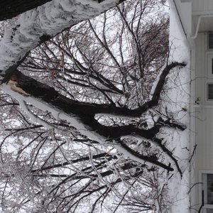 Ice storm