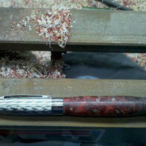 Buckeye Burl Red