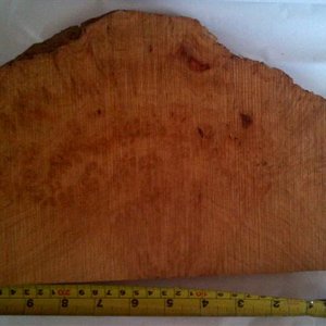 Amboyna Burl