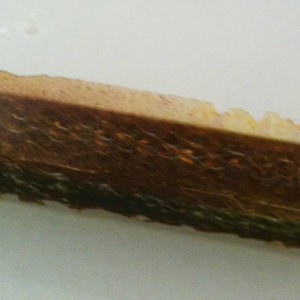 filter mesh in PR