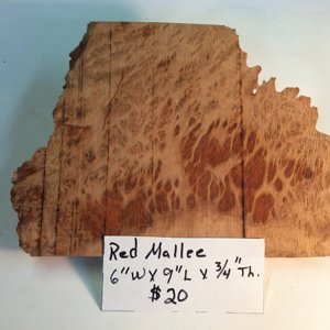 Brown Mallee