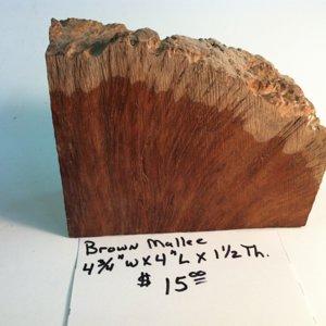 Brown Mallee
