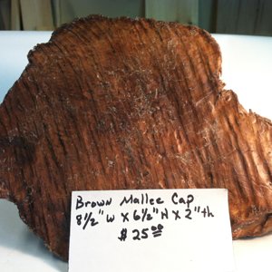 Brown Mallee Cap