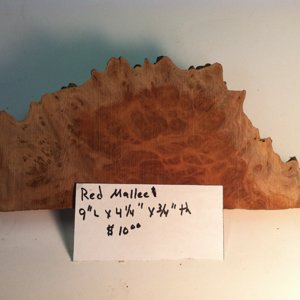 Red Mallee