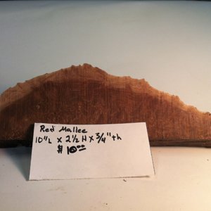 Red Mallee