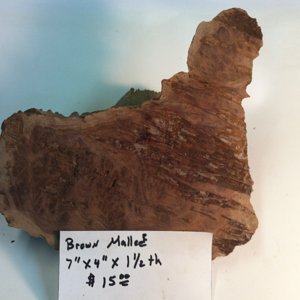 Brown Mallee Cap