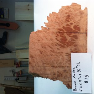 Brown Mallee