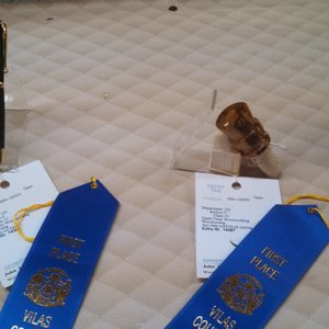 County Fair 2013