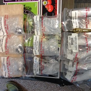 bottle stopper lot