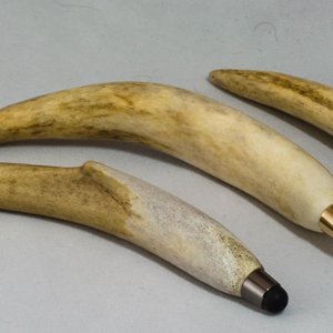 iPad styluses - antler tines