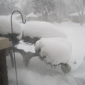 Blizzard 2014