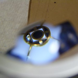 IAP-2014 CLOSE UP