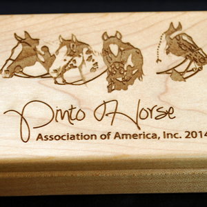 Pinto Horse Assoc Pen