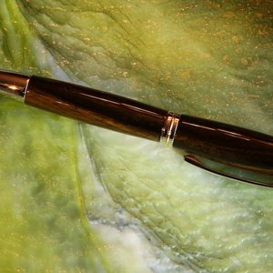 masacar ebony, jr. gent