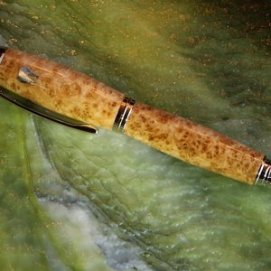 tooth inlay, maple burl, rollerball postable gent