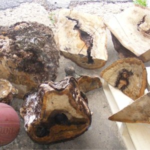 Burls