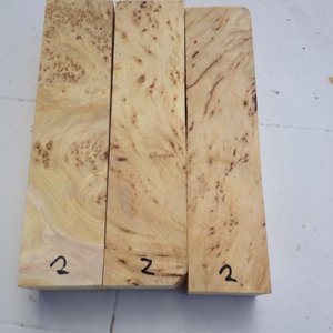 YCB 2
