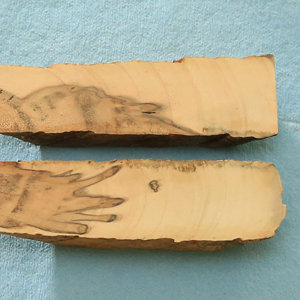 Two Small Spalted Maple Blanks
