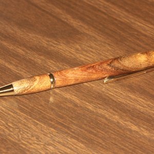 Wild Horse Desert Mesquite pen