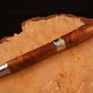 Pristina in Elm Burr