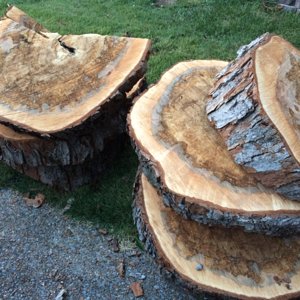 Future Blanks
