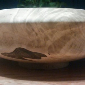 silver maple crotch bowl