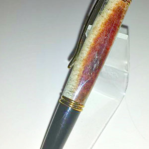 Bully Stick Pen