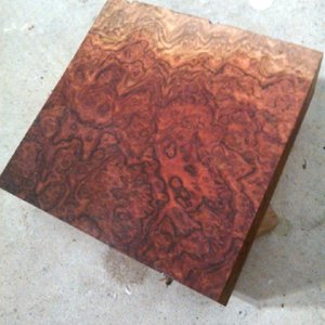 Red Mallee Burl