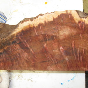 burl