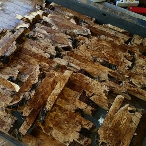 Russian olive burl pen blanks