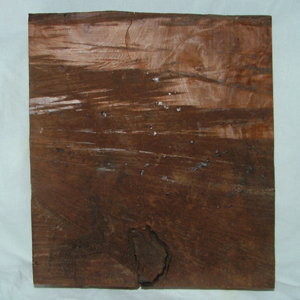 redwood burl1