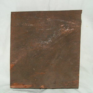 redwood burl2