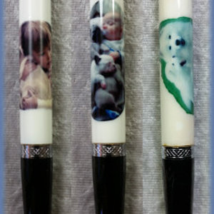 Portraits on Pens Three