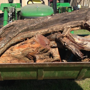 Hopper1 Wood