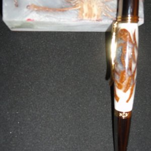 White pinecone blank