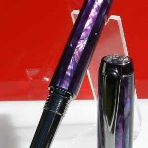 Purple angel wing on a Venus