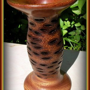 Banksia Seed Pod Vase
