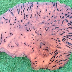 Mallee Burls