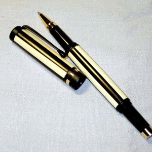 Segmented Pen