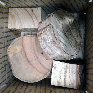 Pecan & Camphor Wood