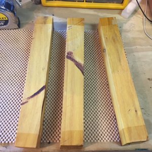 Osage orange
