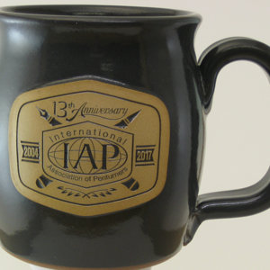 2017 Anniversary Mug