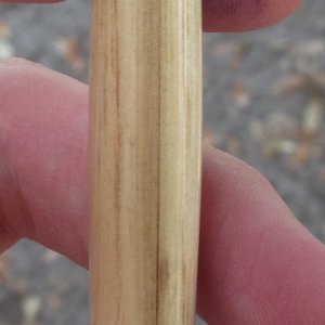 Normandy Beach Drift Wood Pen