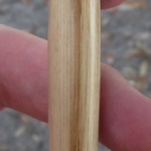 Normandy Beach Drift Wood Pen