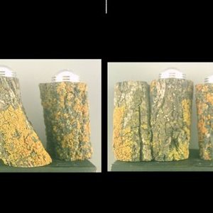 S&P shakers